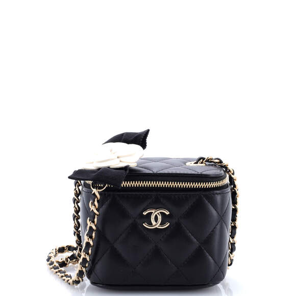 Chanel Handbags - Chanel Lock Frame Vanity Case With #206116C30B